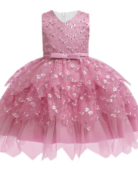 Baby Princess Dress Baby Girl Dress Ricamo Pizzo Pettiskirt Girl We