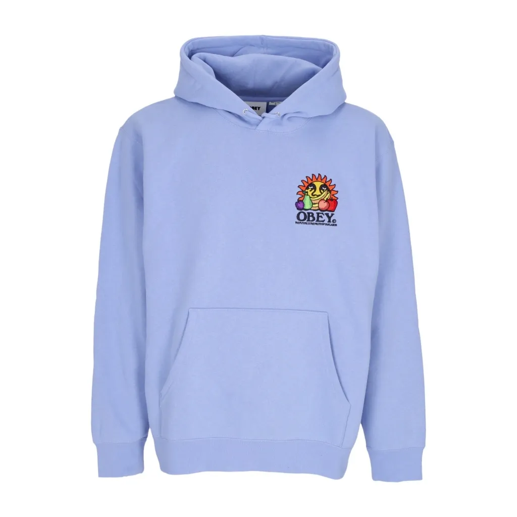 felpa cappuccio uomo our labor hoodie fleece HYDRANGEA