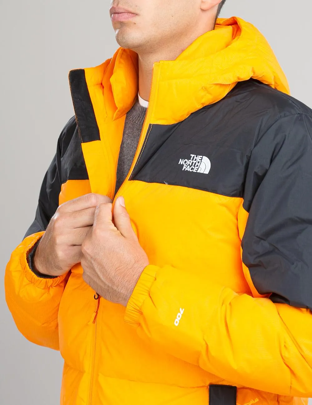 Piumino The North Face    